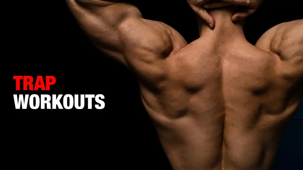 Top 10 Trap Exercises for Building Bigger, Stronger Traps